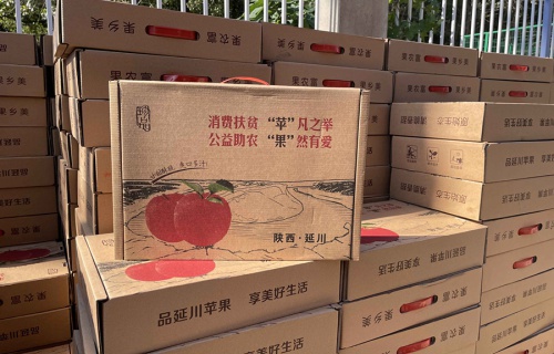 长龄液压“扶贫助农，振兴乡村”活动